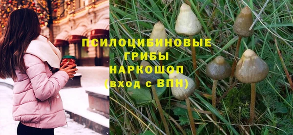 гашишное масло Бикин