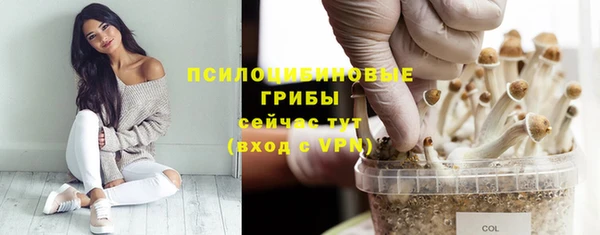 таблы Армянск