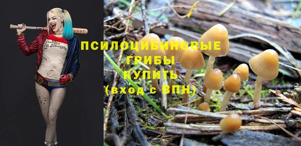 экстази Аркадак
