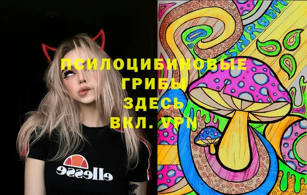 таблы Армянск